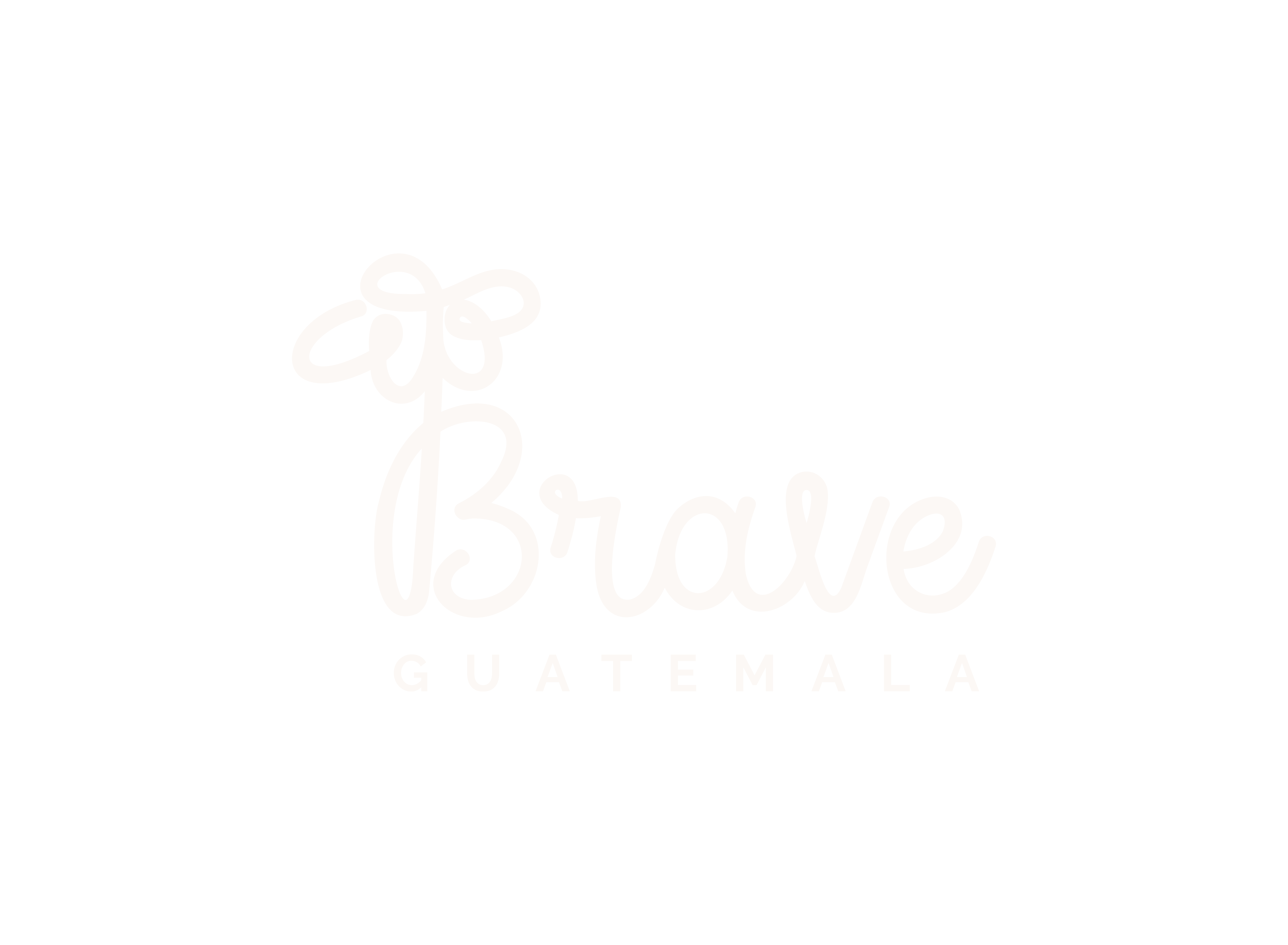 Brave_Logotipo_Principal (3)